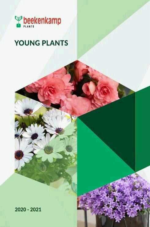 Beekenkamp-Young-Plants--2020-2021